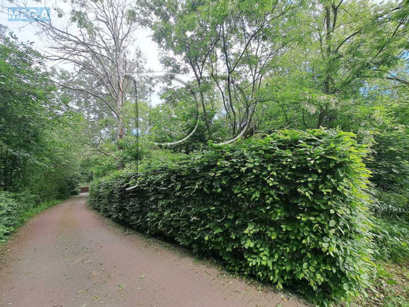Продажа участка, 11 соток, участок под жилую застройку, <a class="location-link" href="/krenichi/" title="Недвижимость Креничі">Креничі</a>, Центральна вулиця (изображение 7)