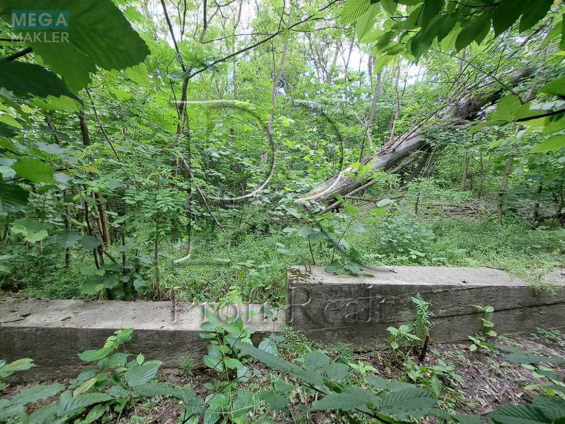Продажа участка, 11 соток, участок под жилую застройку, <a class="location-link" href="/krenichi/" title="Недвижимость Креничі">Креничі</a>, Центральна вулиця (изображение 9)