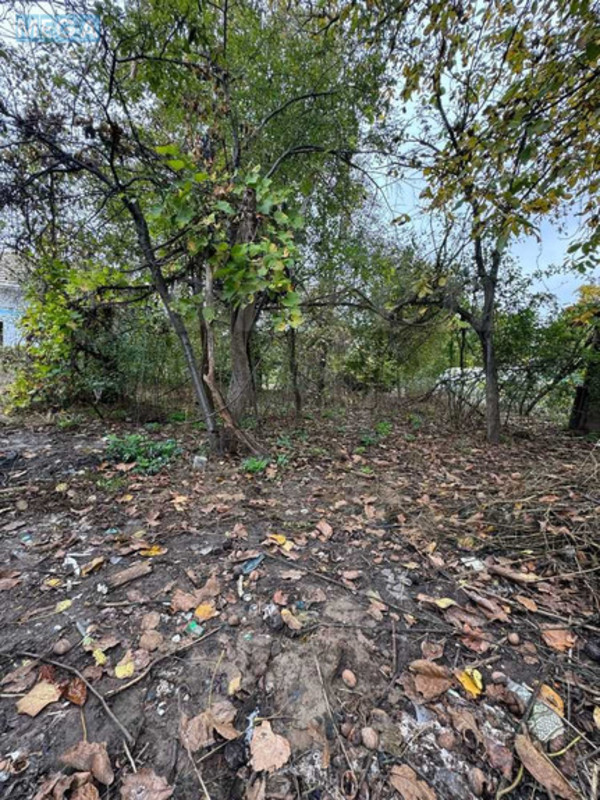 Продажа участка, 6 соток, земля сельскохозяйственного назначения, <a class="location-link" href="/chubinskoe/" title="Недвижимость Чубинське">Чубинське</a>, Садово-Дачна (изображение 11)