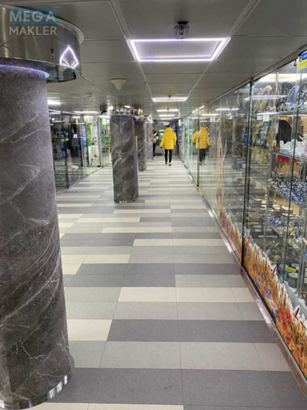 Оренда комерційної нерухомості, 626 кв.м, под магазин, <a class="location-link" href="/kiev/" title="Недвижимость Київ">Київ</a>, <a class="location-link" href="/kiev/pecherskij/" title="Недвижимость Печерський район">Печерський р-н</a>, Бассейная ул., 4 (изображение 6)