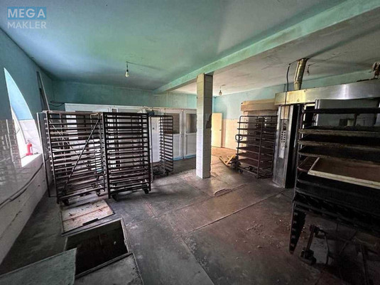 Продаж комерційної нерухомості, 400&nbsp;кв.м, под магазин, <a class="location-link" href="/prishivalnya/" title="Недвижимость Пришивальня">Пришивальня</a>, Лісовий провулок (изображение 10)