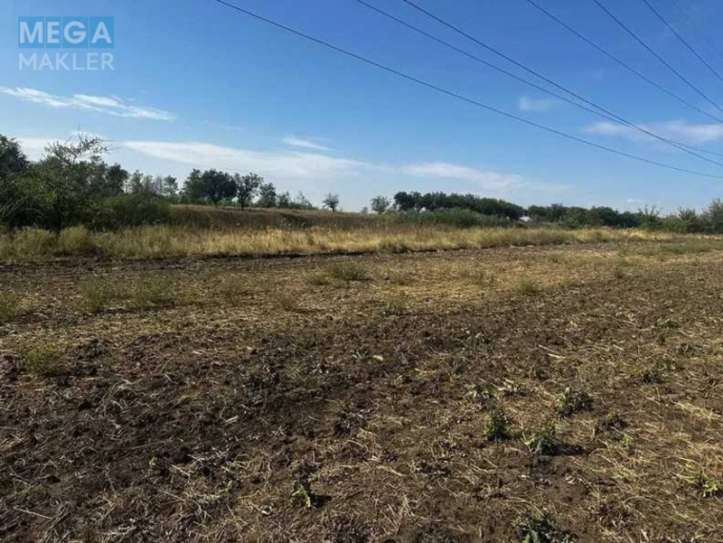Продажа участка, 1 000 соток, земля рекреационного назначения, <a class="location-link" href="/novoaleksandrovka-selo-dp/" title="Недвижимость Новоолександрівка">Новоолександрівка</a>, нова (изображение 4)