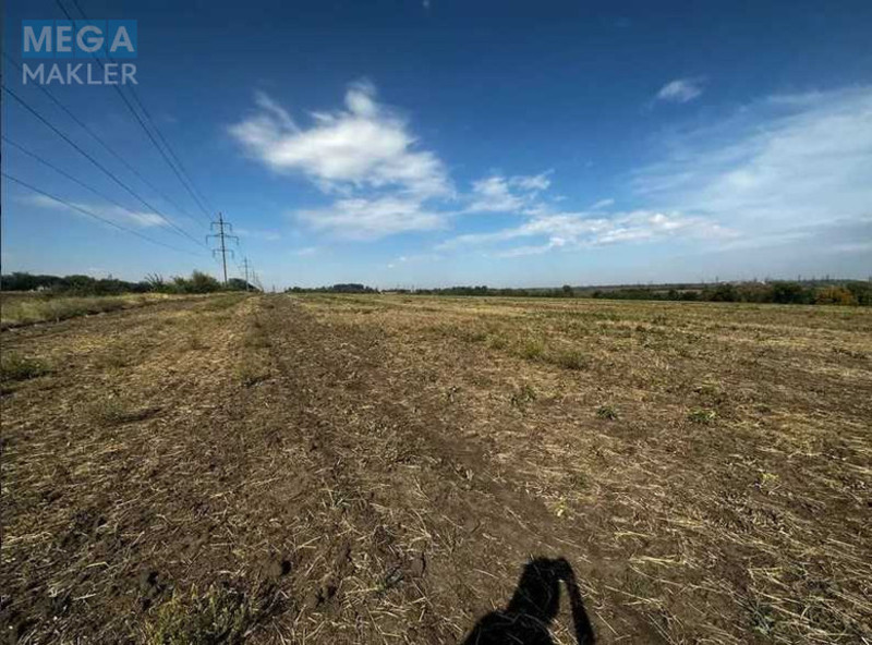 Продажа участка, 1 000 соток, земля рекреационного назначения, <a class="location-link" href="/novoaleksandrovka-selo-dp/" title="Недвижимость Новоолександрівка">Новоолександрівка</a>, нова (изображение 6)