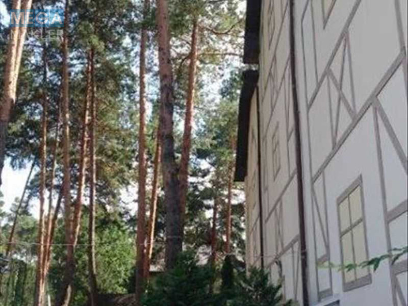 Продаж дома, 4 поверху, 1 230 кв.м, 8 кімнат, ділянка 16 соток, <a class="location-link" href="/kozin-selo-kv/" title="Недвижимость Козин">Козин</a>, Солов яненка, 51 (изображение 13)