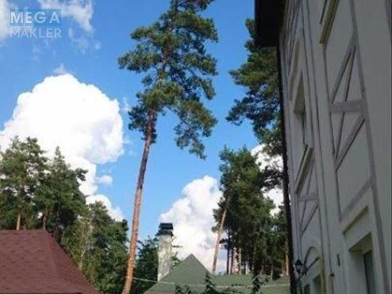 Продаж дома, 4 поверху, 1 230 кв.м, 8 кімнат, ділянка 16 соток, <a class="location-link" href="/kozin-selo-kv/" title="Недвижимость Козин">Козин</a>, Солов яненка, 51 (изображение 15)