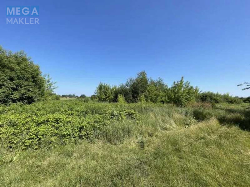 Продажа участка, 8 соток, земля сельскохозяйственного назначения, <a class="location-link" href="/puhovka/" title="Недвижимость Пухівка">Пухівка</a>, Пасічанська (изображение 6)