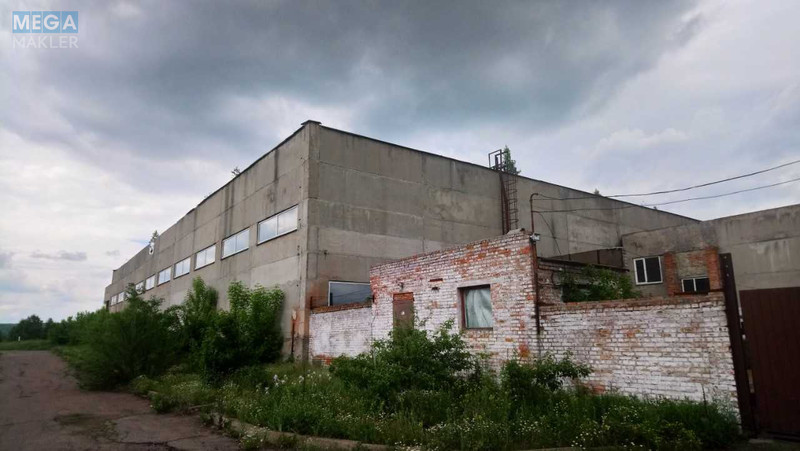 Продаж окремої будівлі/побудови, 6 516,70 кв.м, <a class="location-link" href="/irdyn/" title="Недвижимость Ірдінь">Ірдинь</a>, Щорса, 1 (изображение 3)