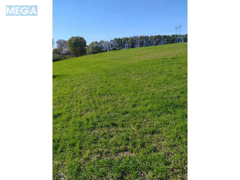 Продажа участка, 10 соток, земля сельскохозяйственного назначения, <a class="location-link" href="/podgorcy-selo/" title="Недвижимость Підгірці">Підгірці</a>, СТ Захист (изображение 2)