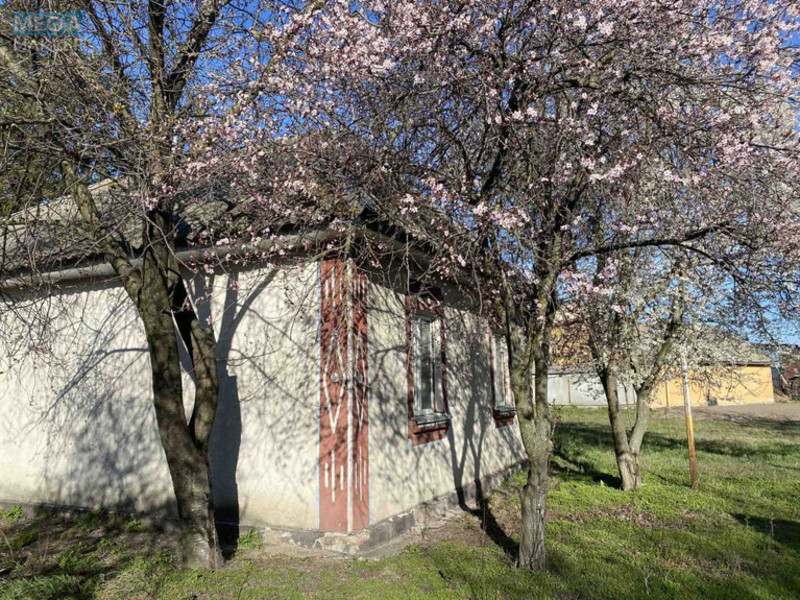 Продаж дома, 1 поверх, 74 кв.м, 2 кімнати, ділянка 25 соток, <a class="location-link" href="/bogdanovka-selo-kv-brovarskij-rajon/" title="Недвижимость Богданівка">Богданівка</a>, Шевченка (изображение 9)