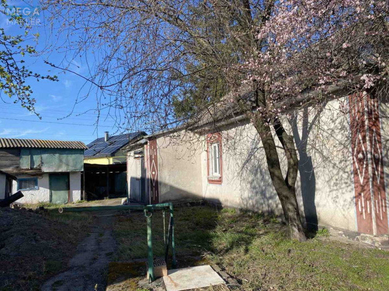 Продаж дома, 1 поверх, 74 кв.м, 2 кімнати, ділянка 25 соток, <a class="location-link" href="/bogdanovka-selo-kv-brovarskij-rajon/" title="Недвижимость Богданівка">Богданівка</a>, Шевченка (изображение 10)