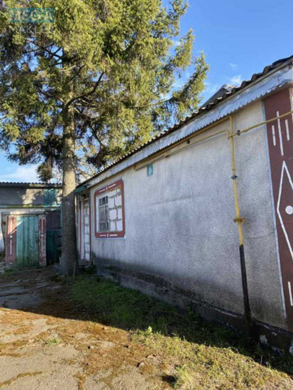 Продаж дома, 1 поверх, 74 кв.м, 2 кімнати, ділянка 25 соток, <a class="location-link" href="/bogdanovka-selo-kv-brovarskij-rajon/" title="Недвижимость Богданівка">Богданівка</a>, Шевченка (изображение 12)