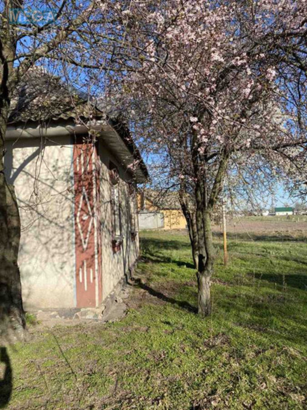 Продаж дома, 1 поверх, 74 кв.м, 2 кімнати, ділянка 25 соток, <a class="location-link" href="/bogdanovka-selo-kv-brovarskij-rajon/" title="Недвижимость Богданівка">Богданівка</a>, Шевченка (изображение 14)