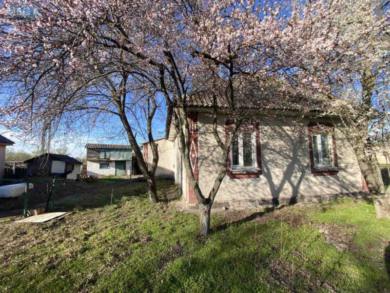 Продаж дома, 1 поверх, 74 кв.м, 2 кімнати, ділянка 25 соток, <a class="location-link" href="/bogdanovka-selo-kv-brovarskij-rajon/" title="Недвижимость Богданівка">Богданівка</a>, Шевченка (изображение 15)