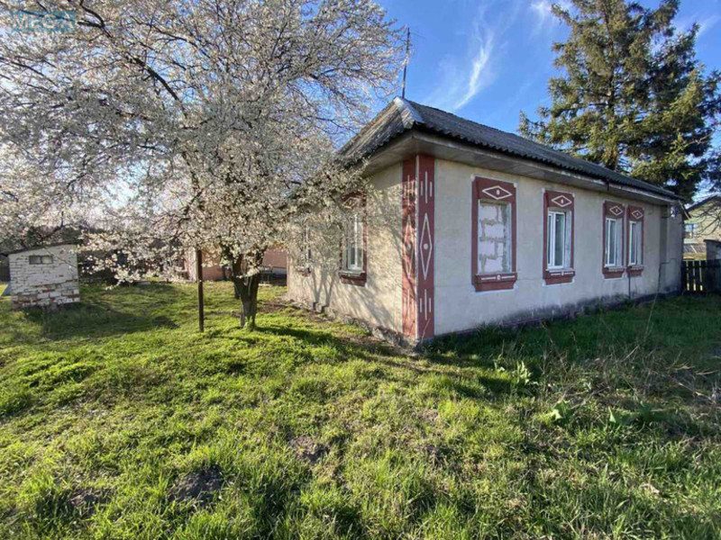 Продаж дома, 1 поверх, 74 кв.м, 2 кімнати, ділянка 25 соток, <a class="location-link" href="/bogdanovka-selo-kv-brovarskij-rajon/" title="Недвижимость Богданівка">Богданівка</a>, Шевченка (изображение 17)
