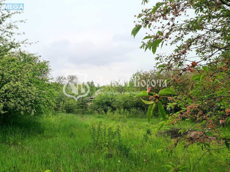 Продаж дома, 1 поверх, 40 кв.м, 2 кімнати, ділянка 6 соток, <a class="location-link" href="/kozhanka/" title="Недвижимость Шкірянка">Кожанка</a>, Садова-2, 6 (изображение 5)