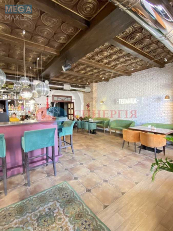 Оренда комерційної нерухомості, 267 кв.м, <a class="location-link" href="/kiev/" title="Недвижимость Київ">Київ</a>, <a class="location-link" href="/kiev/shevchenkovskij/" title="Недвижимость Шевченківський район">Шевченківський р-н</a>, Старовокзальна вул., 13 (изображение 9)