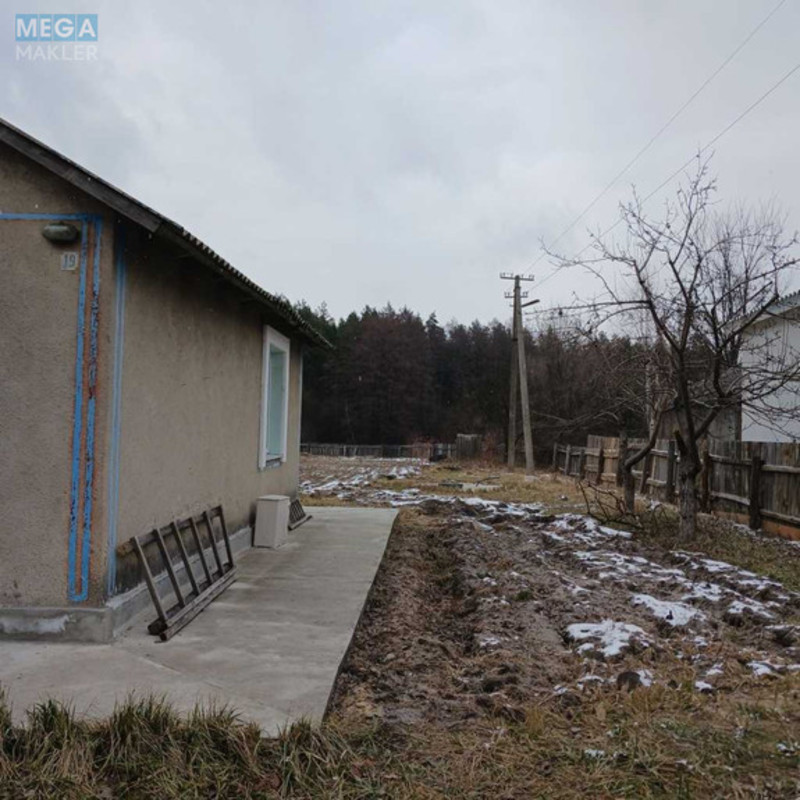 Продаж дома, 1 поверх, 87 кв.м, 3 кімнати, ділянка 16 соток, <a class="location-link" href="/plahtyanka/" title="Недвижимость Плахтянка">Плахтянка</a>, Буковинська (изображение 21)