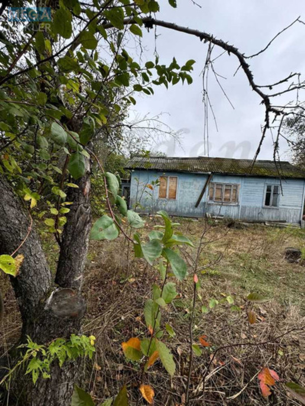 Продажа участка, 6 соток, земля сельскохозяйственного назначения, <a class="location-link" href="/chubinskoe/" title="Недвижимость Чубинське">Чубинське</a>, Садово-Дачна (изображение 2)
