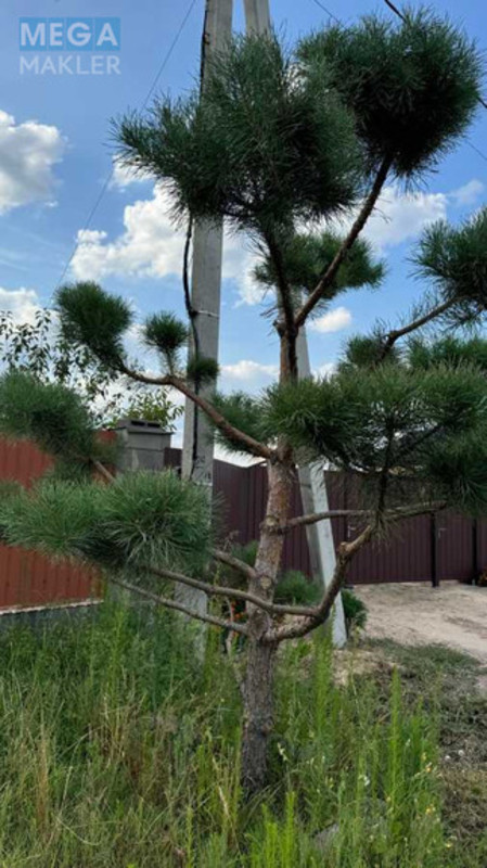 Продаж дома, 2 поверху, 160 кв.м, 4 кімнати, ділянка 15 соток, <a class="location-link" href="/rozhovka/" title="Недвижимость Рожівка">Рожівка</a>, Довженка (изображение 15)