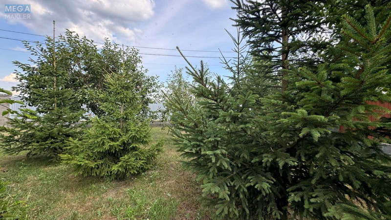 Продаж дома, 2 поверху, 160 кв.м, 4 кімнати, ділянка 15 соток, <a class="location-link" href="/rozhovka/" title="Недвижимость Рожівка">Рожівка</a>, Довженка (изображение 25)