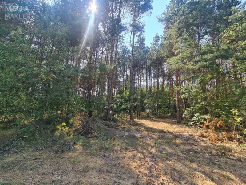 Продажа участка, 225 соток, земля сельскохозяйственного назначения, <a class="location-link" href="/yablonovka-selo-kv-makarovskij-rajon/" title="Недвижимость Яблунівка">Яблунівка</a>, Грушевська (изображение 3)
