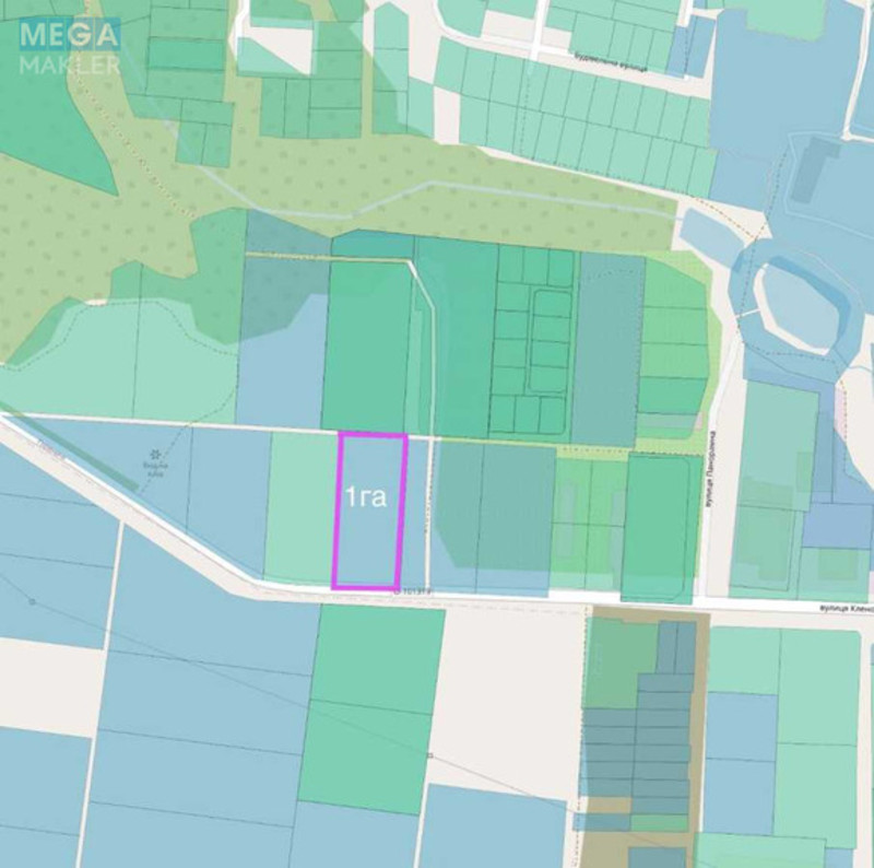 Продажа участка, 110 соток, земля сельскохозяйственного назначения, <a class="location-link" href="/gorenichi/" title="Недвижимость Гореничі">Гореничі</a>, Гореничі (изображение 2)