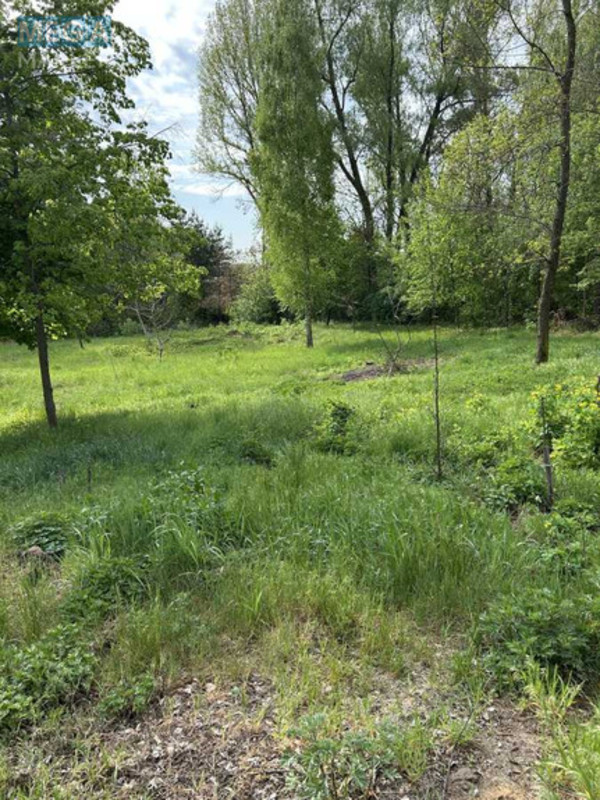 Продажа участка, 20 соток, участок под жилую застройку, <a class="location-link" href="/vasilkov/" title="Недвижимость Васильків">Васильків</a>, Середи Валерія 7в (изображение 8)