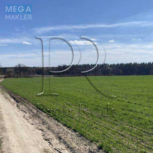 Продажа участка, 125&nbsp;соток, участок под жилую застройку, <a class="location-link" href="/hotov/" title="Недвижимость Хотів">Хотів</a>, Промислова вулиця (изображение 3)
