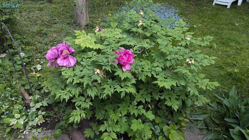 Продаж дома, 1 поверх, 50 кв.м, 4 кімнати, ділянка 5 соток, <a class="location-link" href="/kiev/" title="Недвижимость Київ">Київ</a>, <a class="location-link" href="/kiev/darnickij/" title="Недвижимость Дарницький район">Дарницький р-н</a>, 8-а Лугова вул. (изображение 12)
