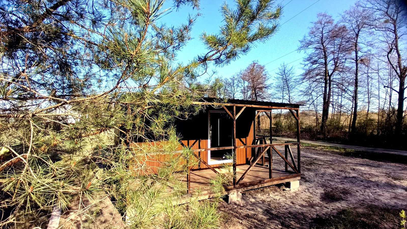 Продаж дома, 1 поверх, 40 кв.м, 1 кімната, ділянка 2 сотки, <a class="location-link" href="/osikovo-selo-kv/" title="Недвижимость Осикові">Осикове</a>, полевая (изображение 5)