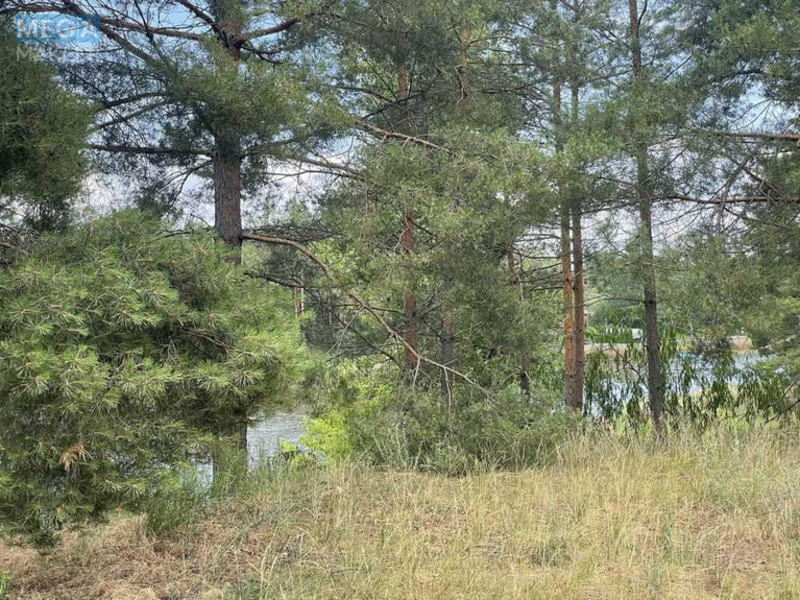 Продажа участка, 37 соток, участок под жилую застройку, <a class="location-link" href="/lebedevka-selo-kv-vyshgorodskij-rajon/" title="Недвижимость Лебедівка">Лебедівка</a>, Головна (изображение 5)