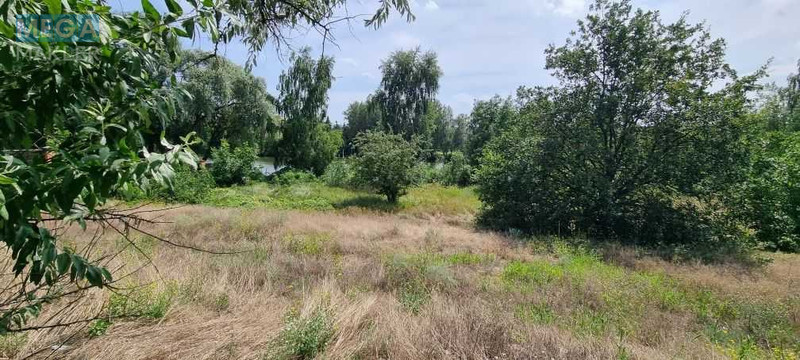 Продажа участка, 65 соток, участок под жилую застройку, <a class="location-link" href="/kozin/" title="Недвижимость Козин">Козин</a>, Старокиївська (изображение 6)