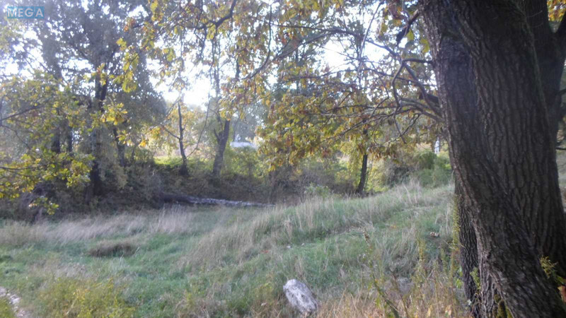 Продажа участка, 70 соток, земля коммерческого назначения, <a class="location-link" href="/ivankovichi/" title="Недвижимость Іванковичі">Іванковичі</a>, Ленина (изображение 3)