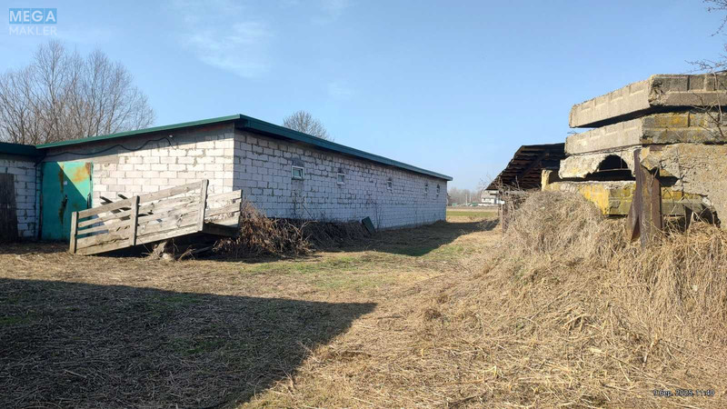 Оренда комплексу будівель та споруд, 600 кв.м, под производство, <a class="location-link" href="/litki-selo-kv/" title="Недвижимость Літки">Літки</a>, Киевская (изображение 6)