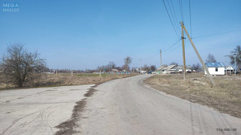 Продаж комплексу будівель та споруд, 600 кв.м, под производство, <a class="location-link" href="/litki-selo-kv/" title="Недвижимость Літки">Літки</a>, зазимская (изображение 3)