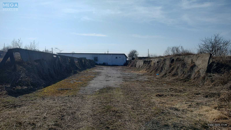 Продаж комплексу будівель та споруд, 600 кв.м, под производство, <a class="location-link" href="/litki-selo-kv/" title="Недвижимость Літки">Літки</a>, зазимская (изображение 4)
