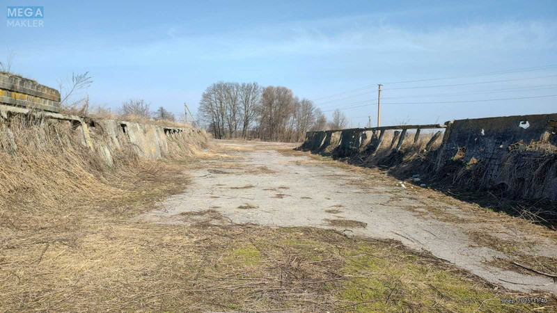 Продаж комплексу будівель та споруд, 600 кв.м, под производство, <a class="location-link" href="/litki-selo-kv/" title="Недвижимость Літки">Літки</a>, зазимская (изображение 24)