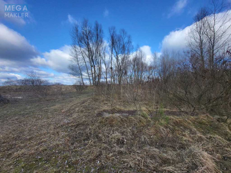 Продажа участка, 200 соток, земля сельскохозяйственного назначения, <a class="location-link" href="/golovurov/" title="Недвижимость Головурів">Головурів</a>, с. Головурів (изображение 3)