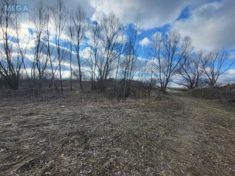 Продажа участка, 200 соток, земля сельскохозяйственного назначения, <a class="location-link" href="/golovurov/" title="Недвижимость Головурів">Головурів</a>, с. Головурів (изображение 8)