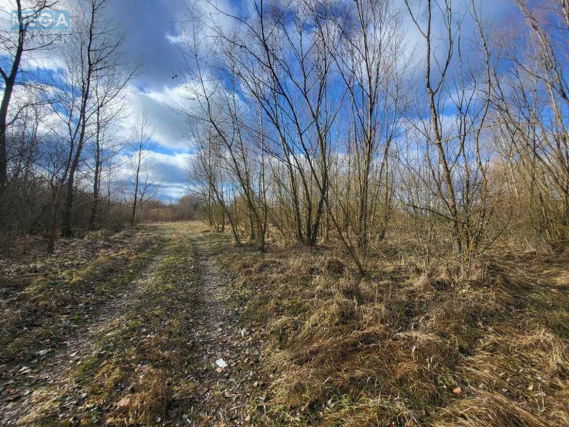 Продажа участка, 200 соток, земля сельскохозяйственного назначения, <a class="location-link" href="/golovurov/" title="Недвижимость Головурів">Головурів</a>, с. Головурів (изображение 10)