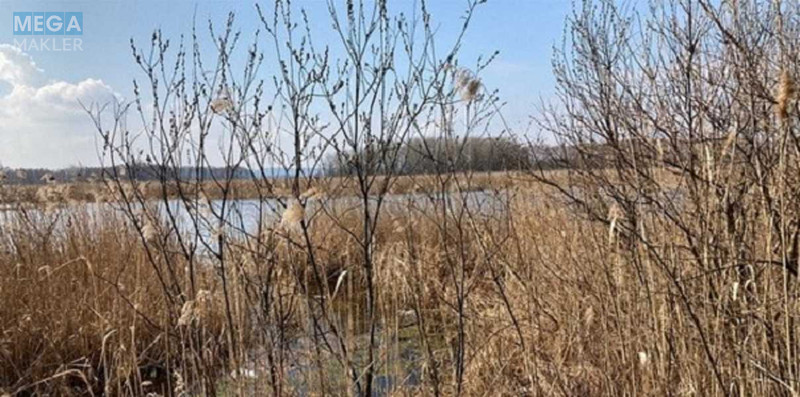 Продажа участка, 200 соток, земля сельскохозяйственного назначения, <a class="location-link" href="/golovurov/" title="Недвижимость Головурів">Головурів</a>, Головурівська с/р (изображение 2)