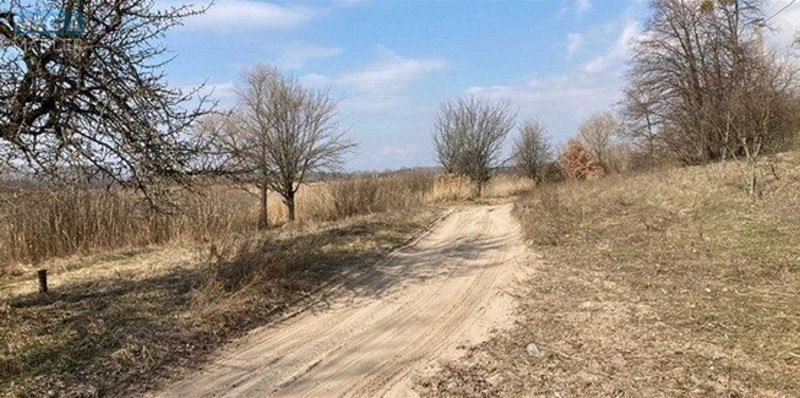Продажа участка, 200 соток, земля сельскохозяйственного назначения, <a class="location-link" href="/golovurov/" title="Недвижимость Головурів">Головурів</a>, Головурівська с/р (изображение 4)