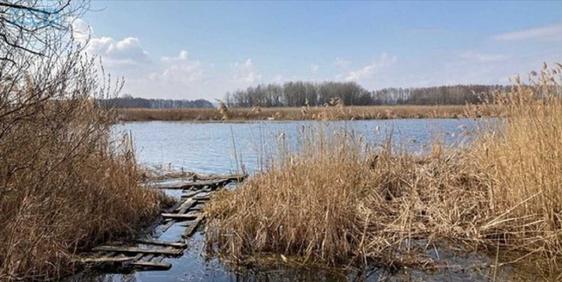 Продажа участка, 200 соток, земля сельскохозяйственного назначения, <a class="location-link" href="/golovurov/" title="Недвижимость Головурів">Головурів</a>, Головурівська с/р (изображение 5)