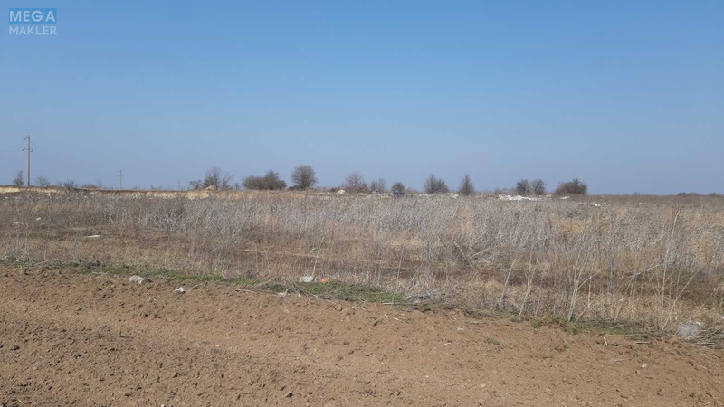 Продажа участка, 95 соток, земля сельскохозяйственного назначения, <a class="location-link" href="/voronkov/" title="Недвижимость Вороньків">Вороньків</a>, Вороньківська с/р (изображение 3)