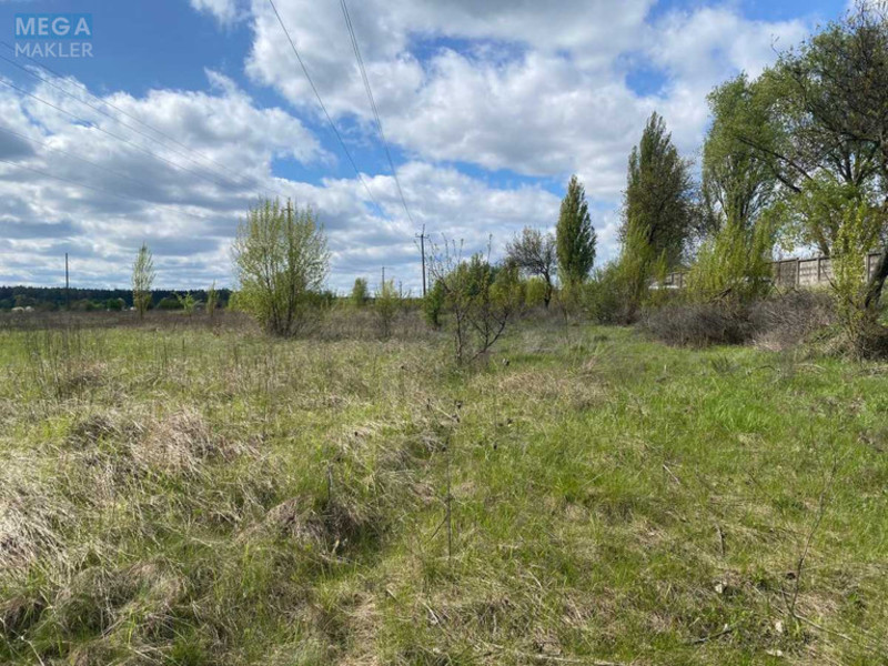 Продажа участка, 277 соток, земля коммерческого назначения, <a class="location-link" href="/kalinovka-pgt/" title="Недвижимость Калинівка">Калинівка</a>, Калинівська селищна рада (изображение 3)