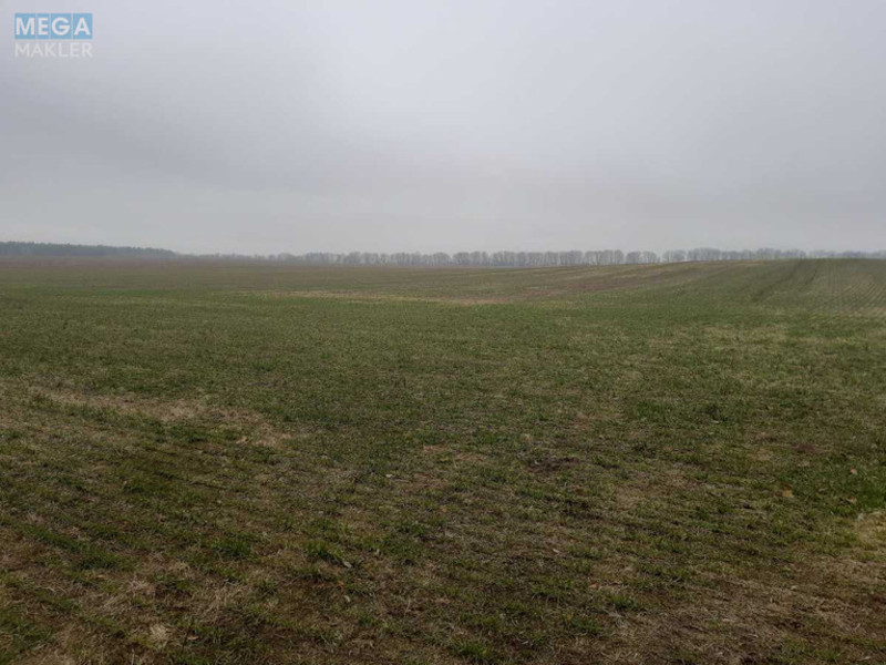 Продажа участка, 149 соток, земля сельскохозяйственного назначения, <a class="location-link" href="/voronkov/" title="Недвижимость Вороньків">Вороньків</a>, Вороньківська с/р (изображение 2)
