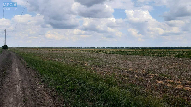Продажа участка, 200 соток, земля сельскохозяйственного назначения, <a class="location-link" href="/golovurov/" title="Недвижимость Головурів">Головурів</a>, Головурівський с/о (изображение 2)