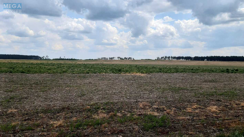 Продажа участка, 200 соток, земля сельскохозяйственного назначения, <a class="location-link" href="/golovurov/" title="Недвижимость Головурів">Головурів</a>, Головурівський с/о (изображение 3)
