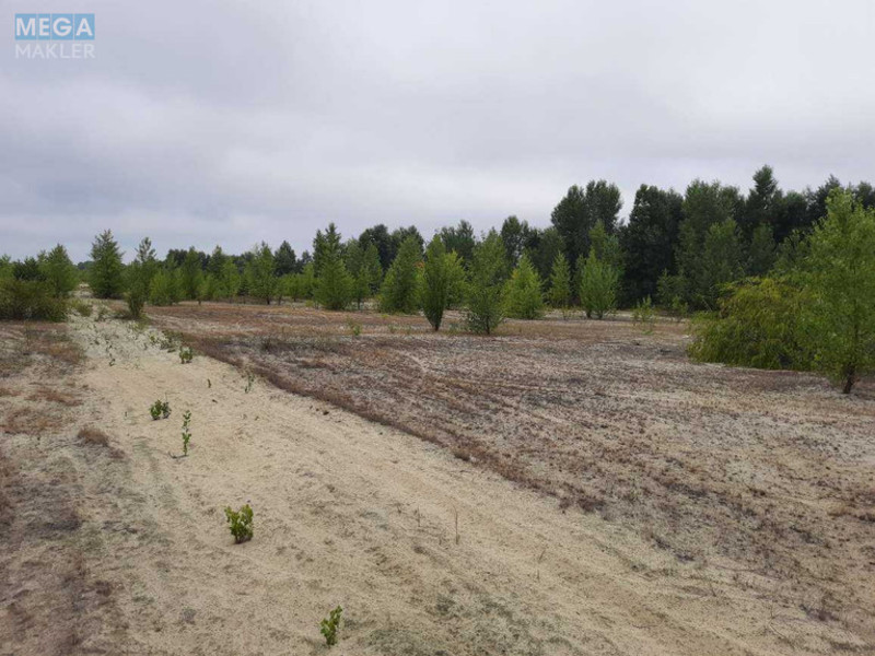Продажа участка, 12 соток, земля сельскохозяйственного назначения, <a class="location-link" href="/vishenki-selo-kv/" title="Недвижимость Вишеньки">Вишеньки</a>, СТ Либідь (изображение 2)