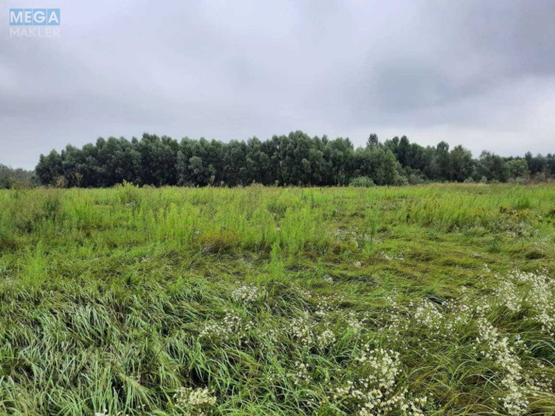 Продажа участка, 12 соток, земля сельскохозяйственного назначения, <a class="location-link" href="/vishenki-selo-kv/" title="Недвижимость Вишеньки">Вишеньки</a>, СТ Либідь (изображение 3)